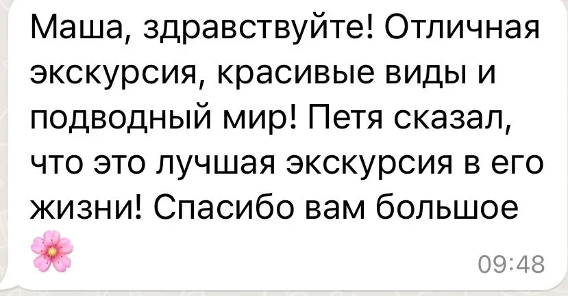 Оригинальный скриншот переписки